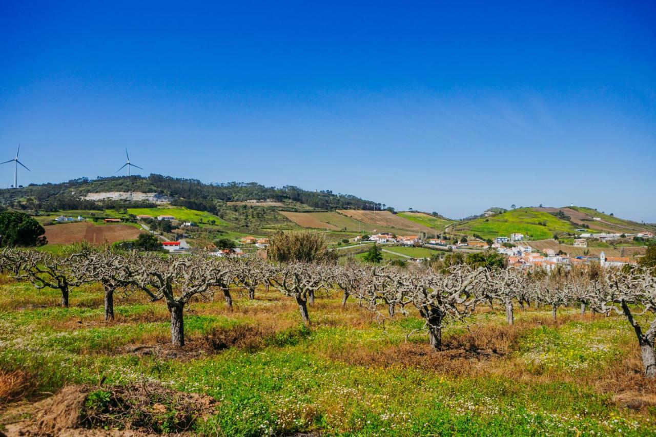 Traditional Portuguese Village House - Casa Martins No 52 Freiria Экстерьер фото