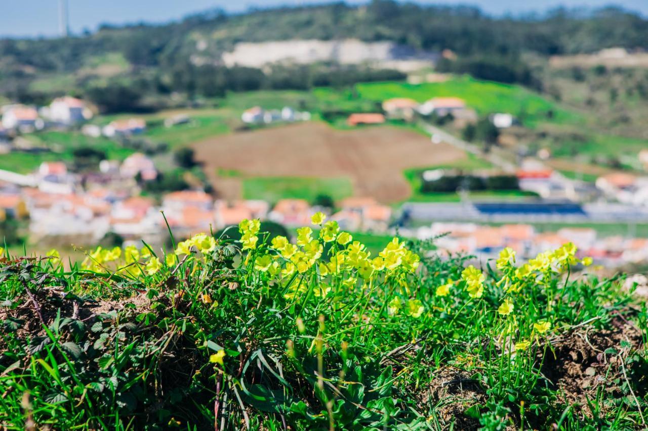 Traditional Portuguese Village House - Casa Martins No 52 Freiria Экстерьер фото